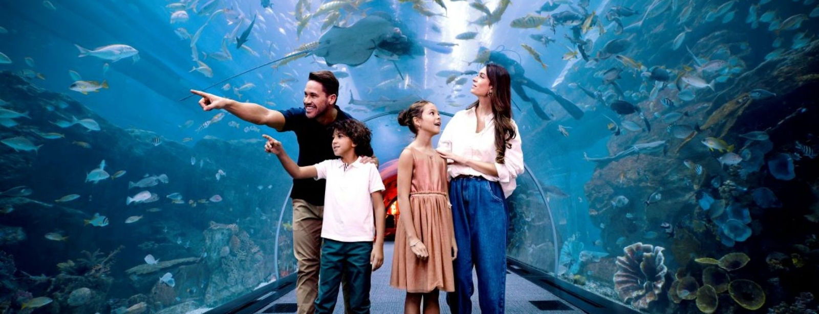 Aquarium de Dubaï : Visite, espèces marines, horaires et prix