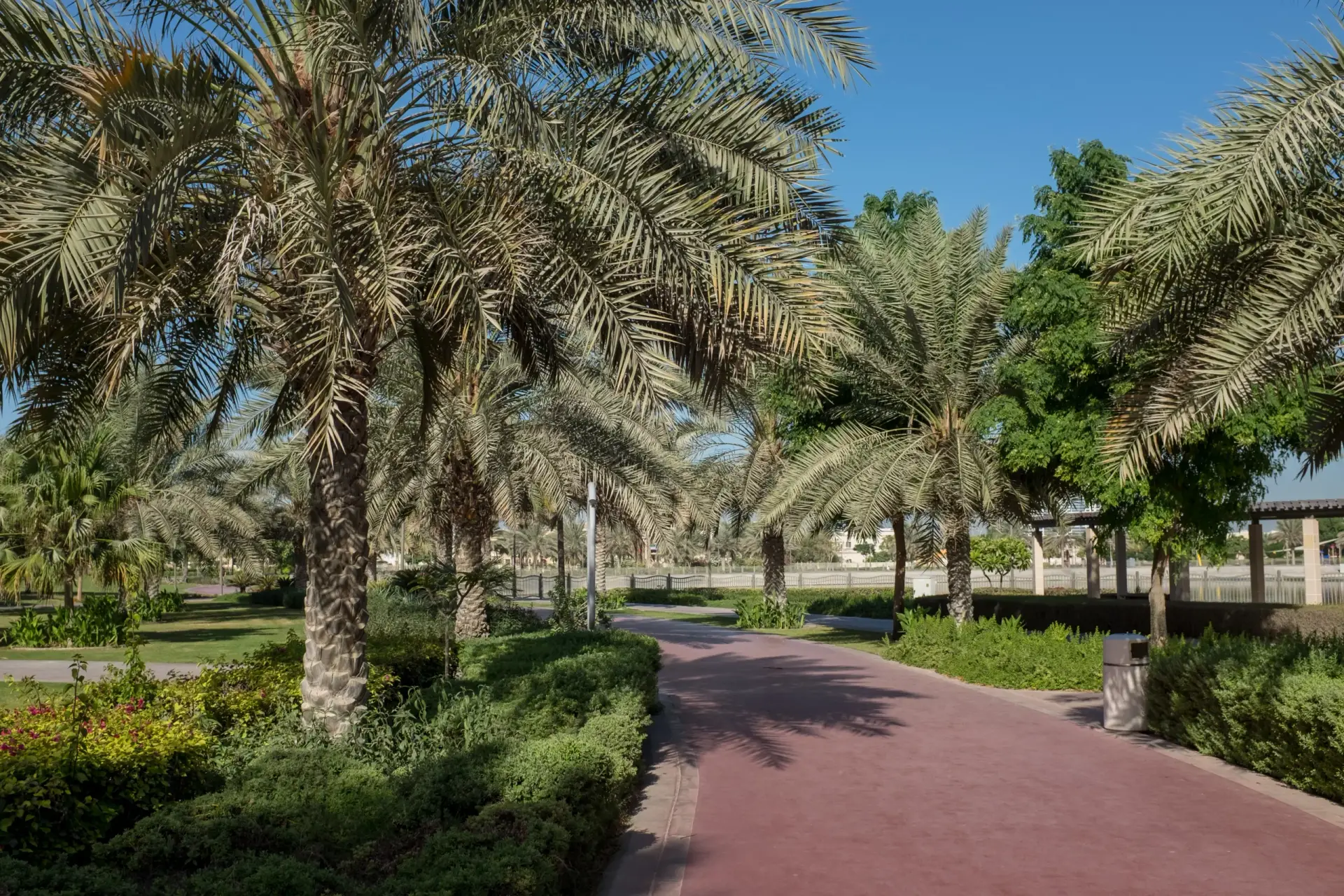 Vue pittoresque du grand étang au centre d’Al Barsha Pond Park à Dubaï.