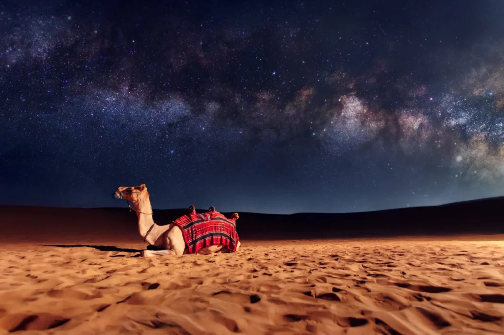 Desert-Safari-in-Dubai-nuit