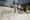 neige-desert-ski-dubai-attraction-fun-famille